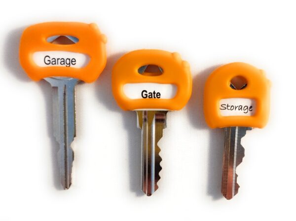 Orange 8-Pack - Image 4